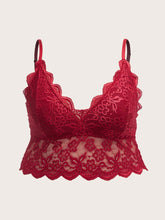 Charger l&#39;image dans la galerie, Love God. Store Plus Size Bras &amp; Bralettes Burgundy / 1XL Plus Scallop Trim Lace Bralette price
